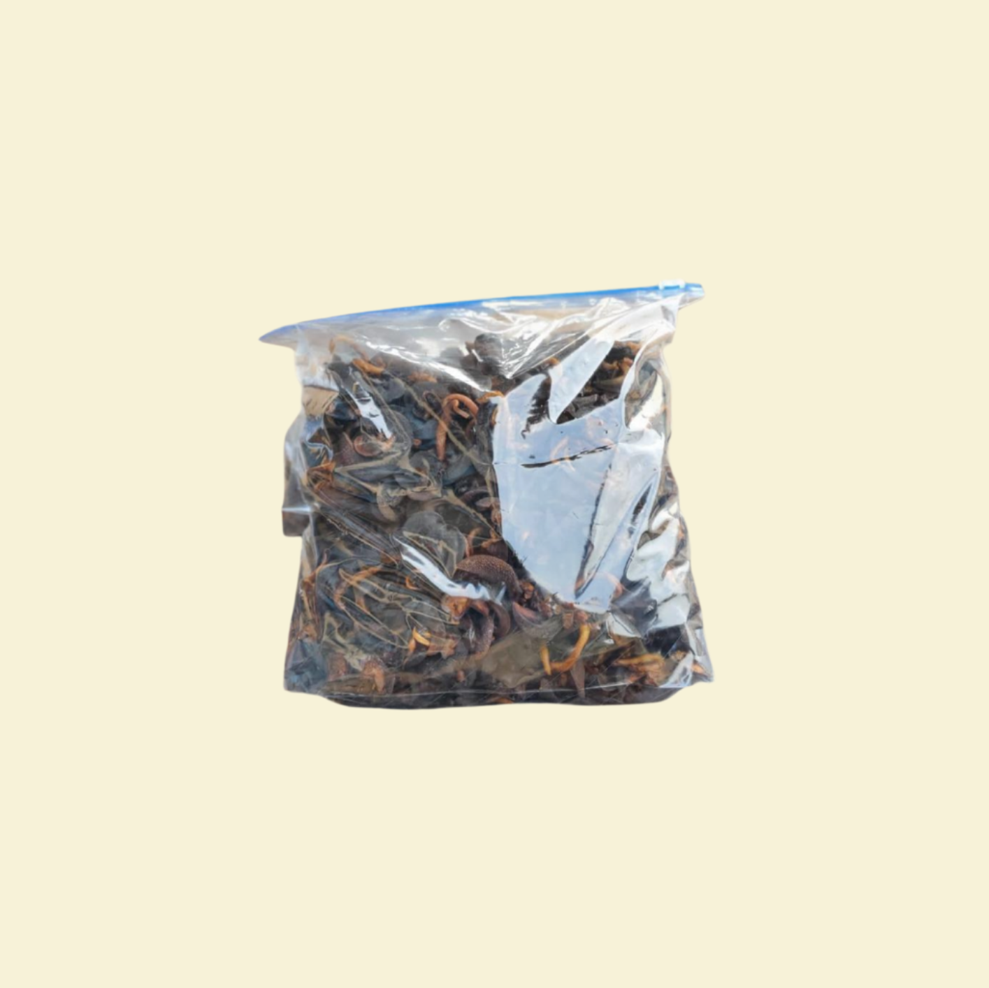 Dried Snails