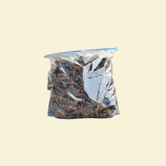 Dried Snails