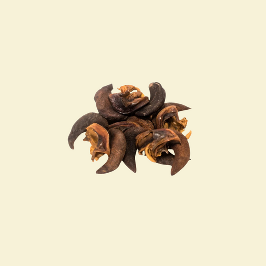 Dried Snails