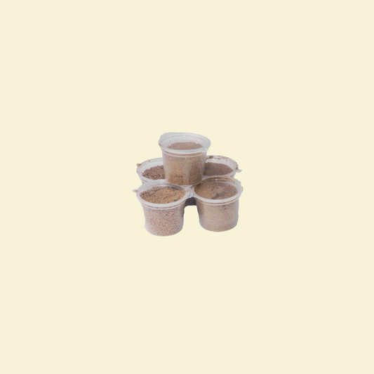 Banga spices