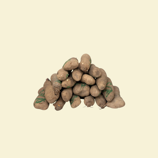 Yam